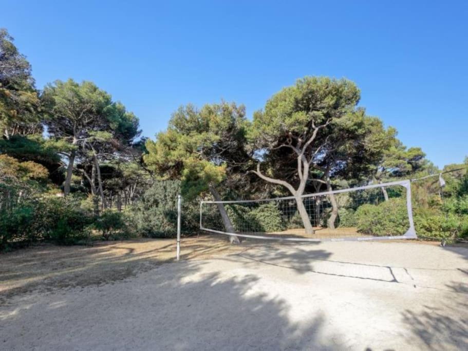 Superbe 50m De La En Bord De Apartment *